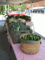 Légumes biologiques fermes artisanales hochelaga-maisonneuve est montréal