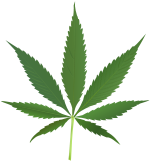 drogue cannabis marijuana légalisation